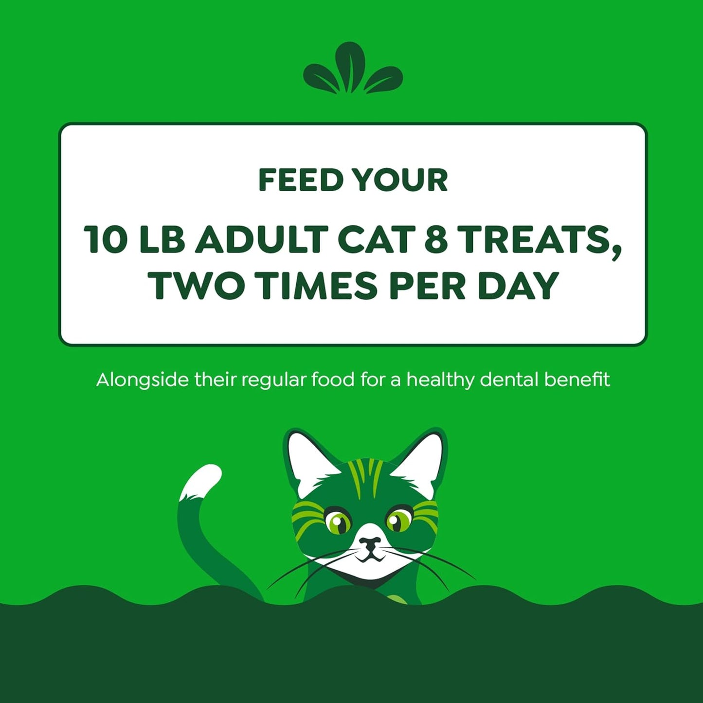 Greenies Feline Adult Dental Cat Treats, Oven Roasted Chicken Flavor, 9.75 oz. Tub