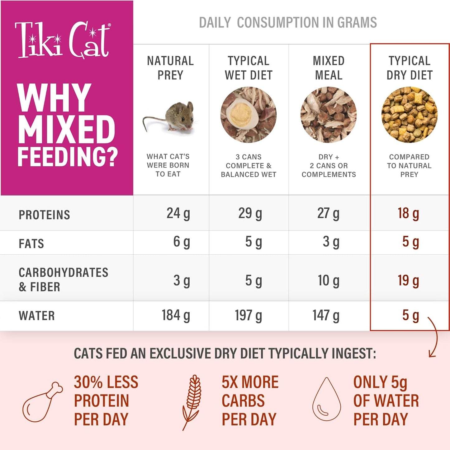 Tiki Cat Born Carnivore Broths, Salmon Recipe, Hydration and Flavor Supplement Cat Food Topper, 1.3 oz. Pouch (Pack of 12)