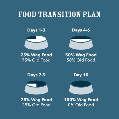 Amazon Brand - Wag Stew Canned Dog Food, Turkey & Sweet Potato Recipe, 13.2 oz Can (Pack of 12)