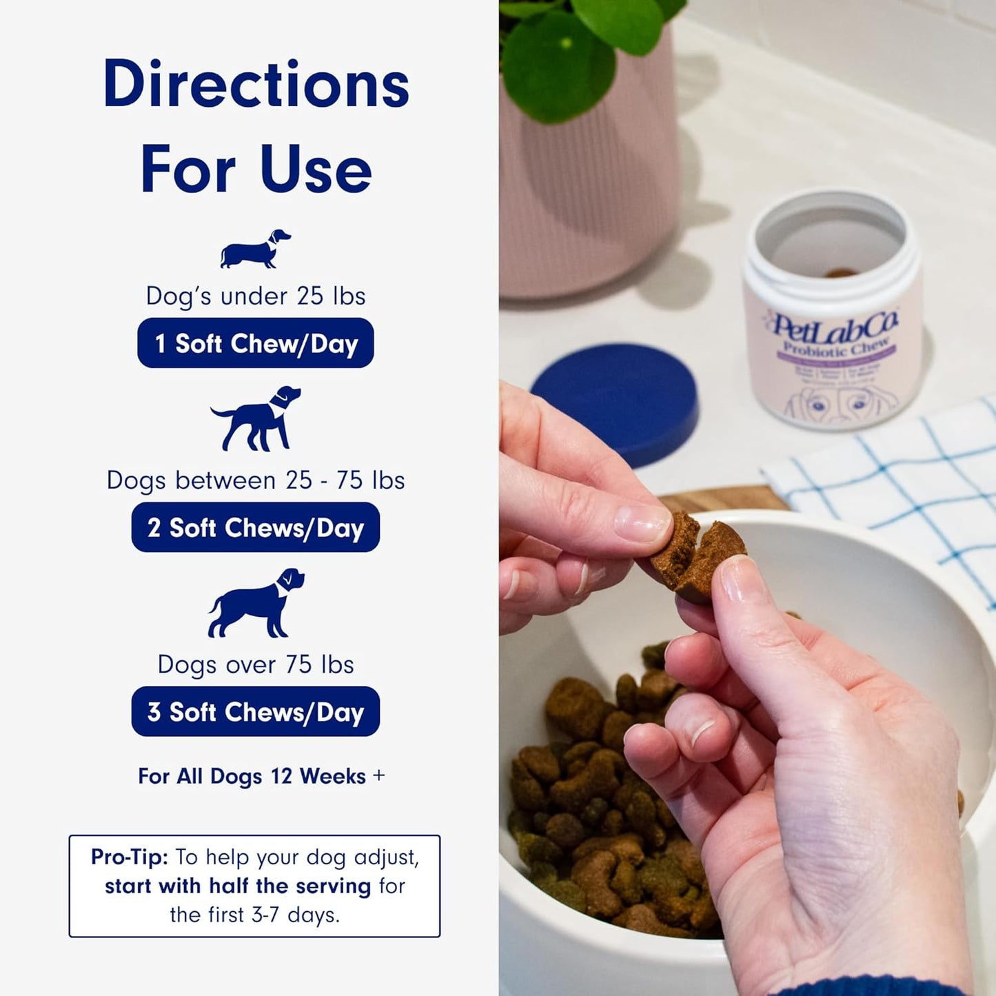 PetLab Co. Allergy & Immune Probiotics for Dogs, Support Seasonal Allergies, Gut & Digestive Health - Pork Flavor - 30 Soft Chews - Pack of 2