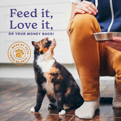 The Missing Link Feline Superfood Supplement Powder 6oz Bag, Veterinarian Formulated, Balanced Omega 3 & 6 for Healthy Skin & Coat, Digestion, Immunity & Overall Cat Health