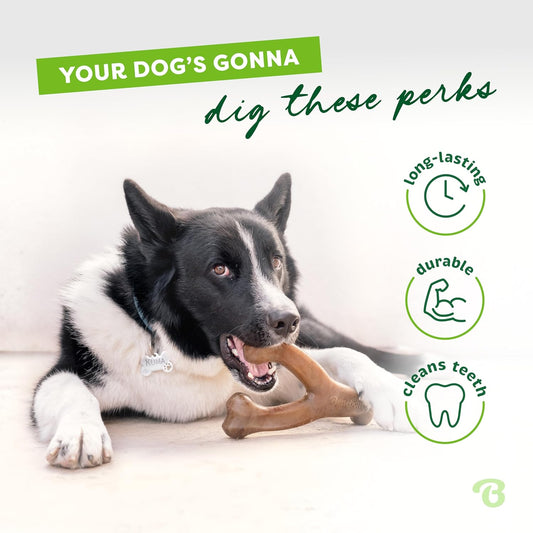 Benebone Wishbone Durable Dog Chew Toy for Aggressive Chewers, Large