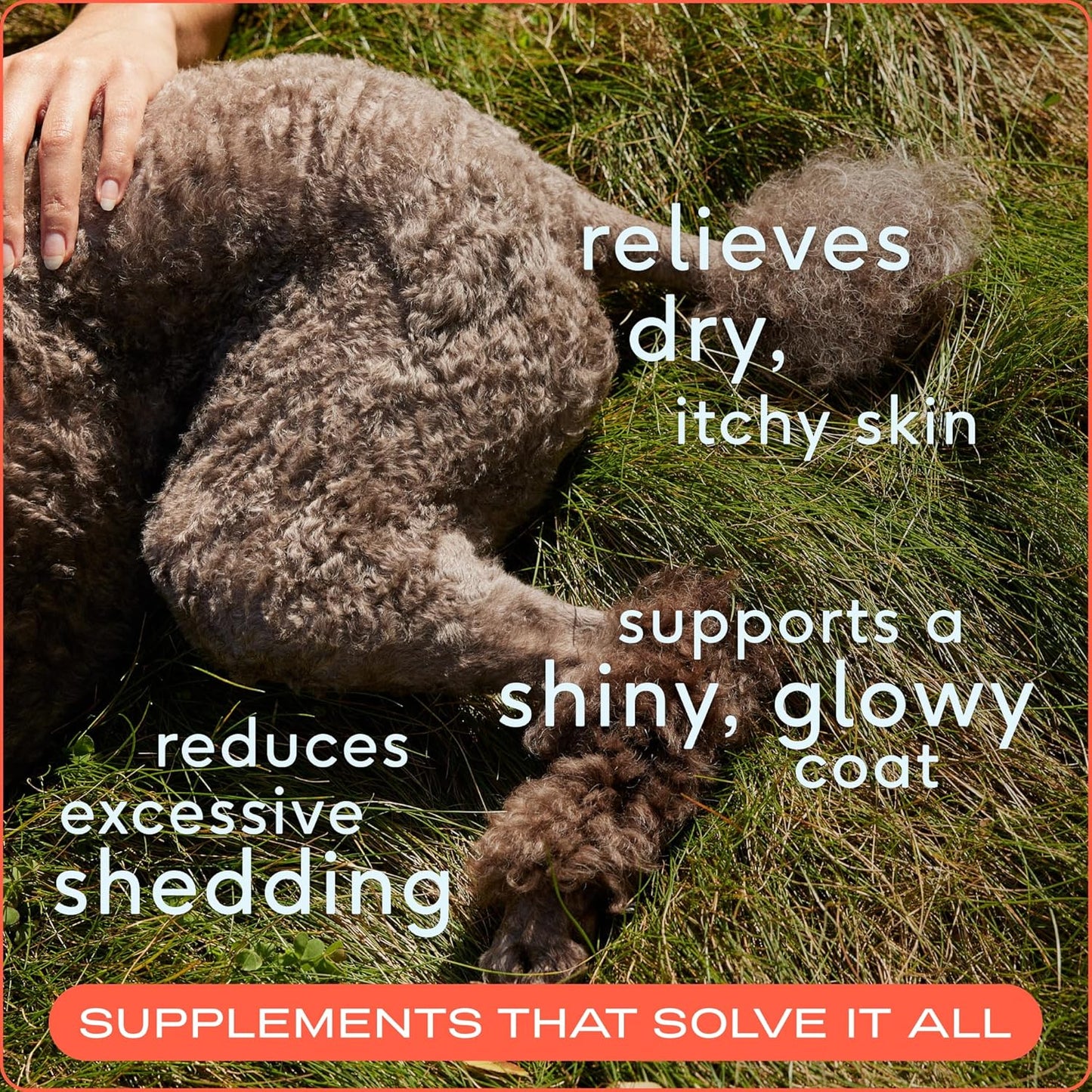 Native Pet Omega 3 Fish Oil for Dogs & Cats